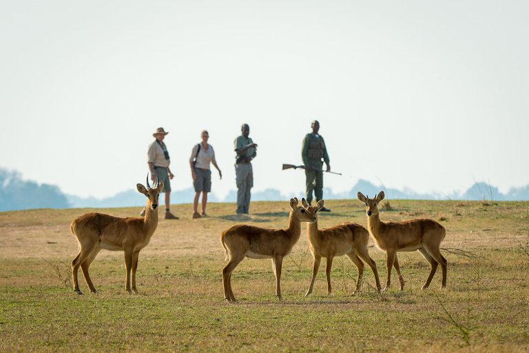 Tena Tena walking safari