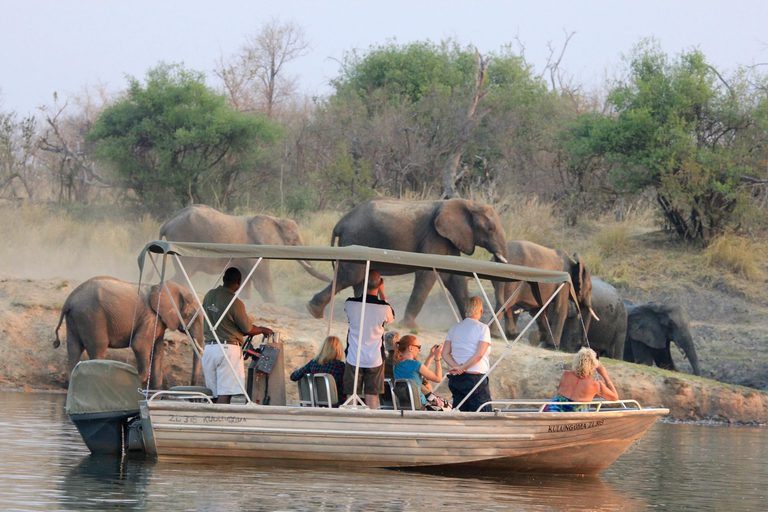 Waterberry Lodge boat cruise with elephants