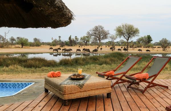 Bomani Tented Camp Splash Pool and Water Hole