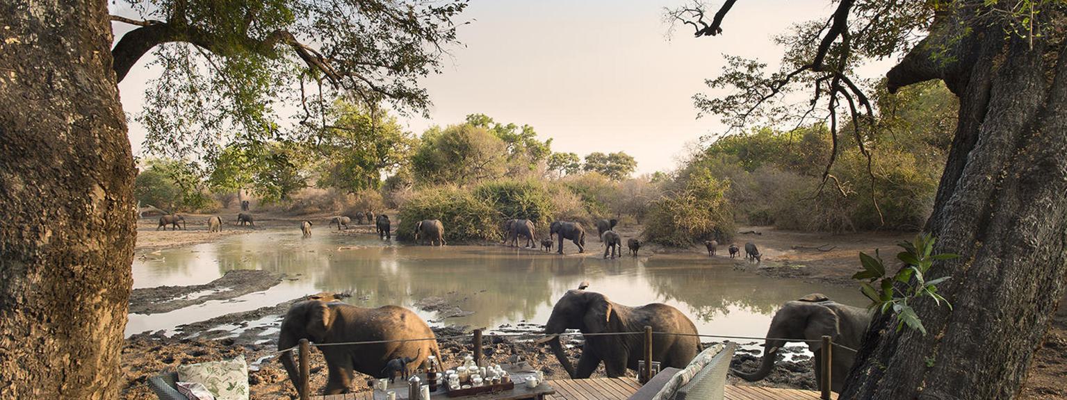 Kanga Camp Elephants from the Deck