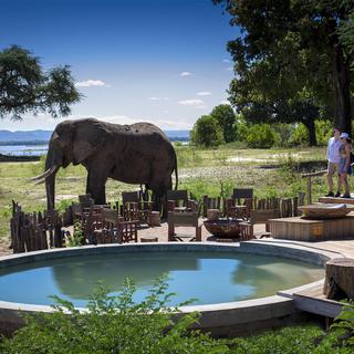 Elephant beside pool at Nyamatusi Camp