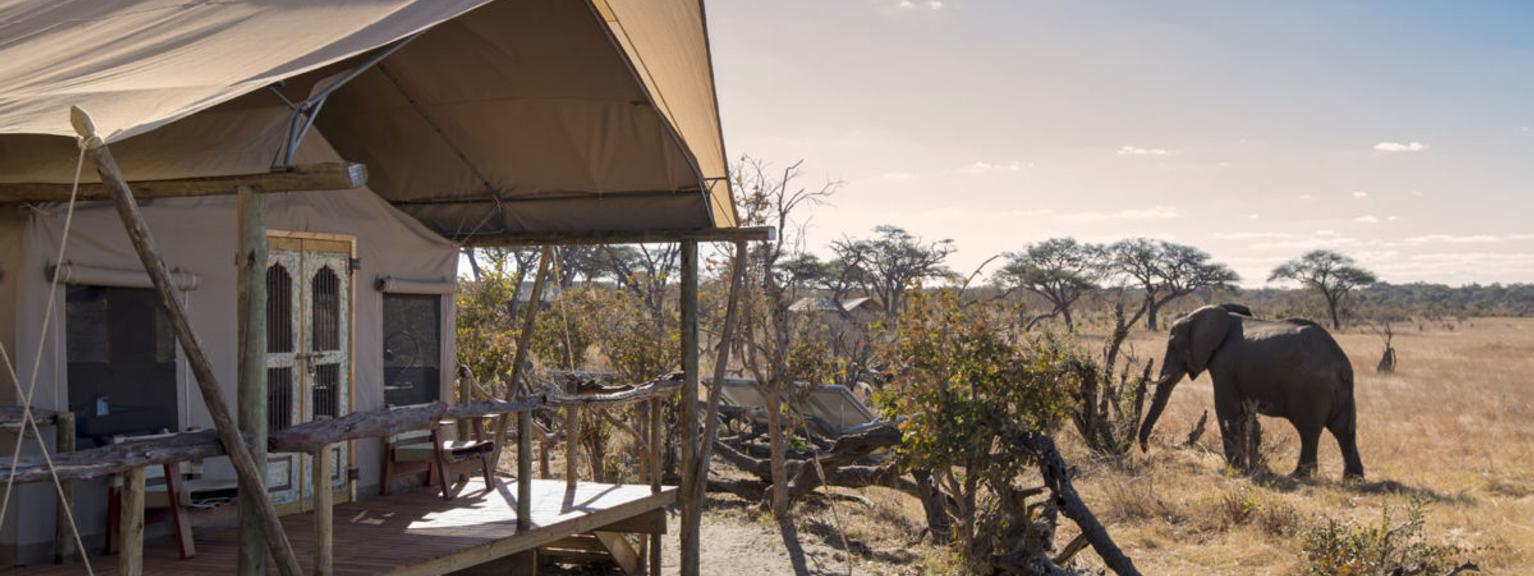 Somalisa Expeditions Deck and Visitor