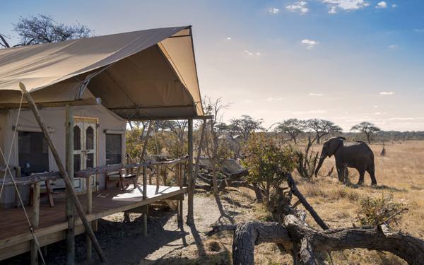 Somalisa Expeditions Deck and Visitor