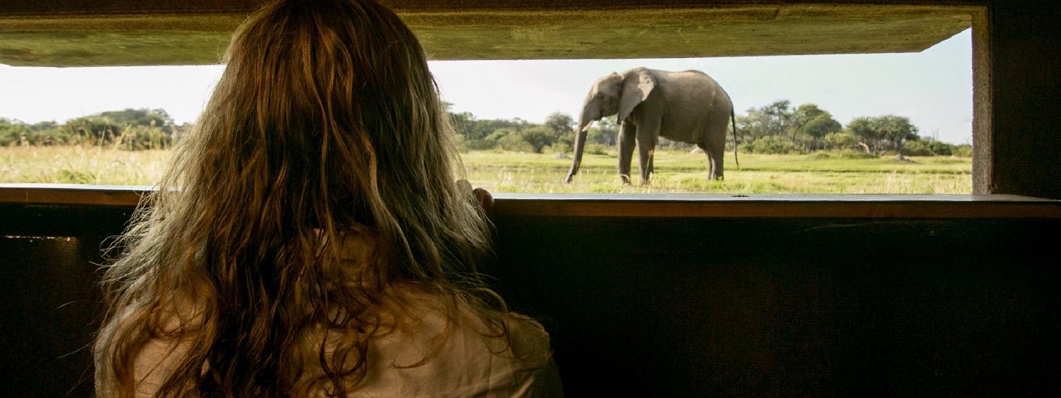 The Hide Underground Hide