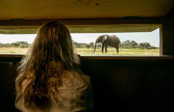 The Hide Underground Hide