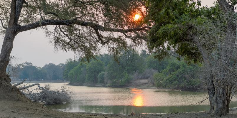 Mana Pools waterhole SS