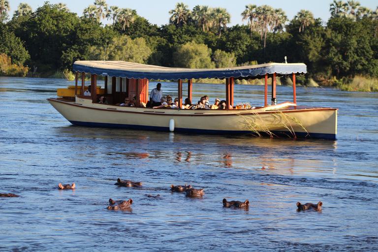 Zambezi river cruise hippo in water Victoria Falls