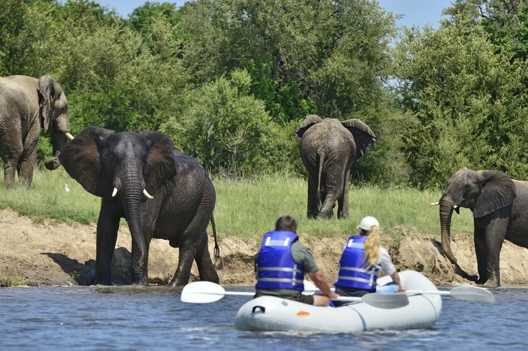 Victoria falls river lodge canoe safaris