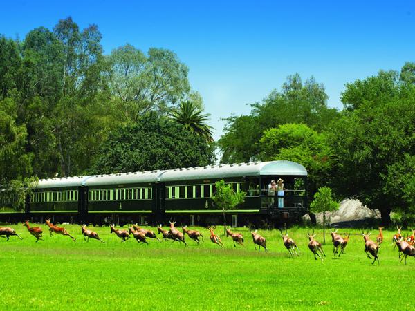 Rovos rail passing game Itinerary Hero