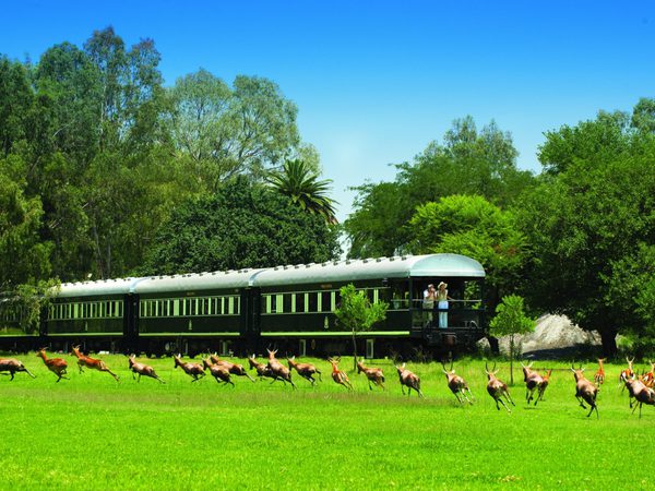Rovos rail passing game Itinerary Hero
