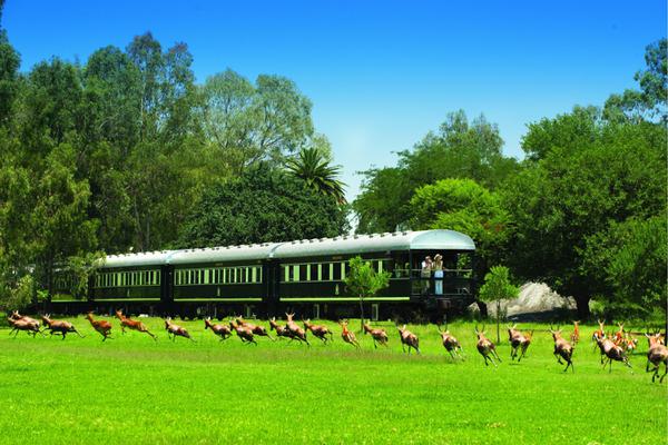 Rovos rail passing game