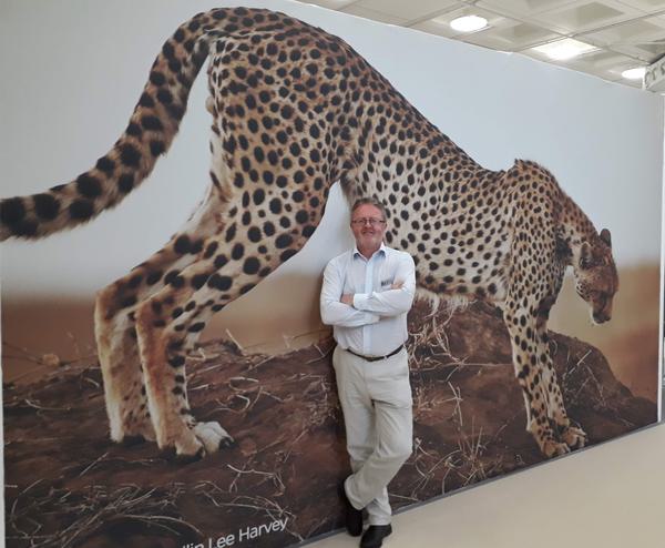 DH with leopard backdrop image