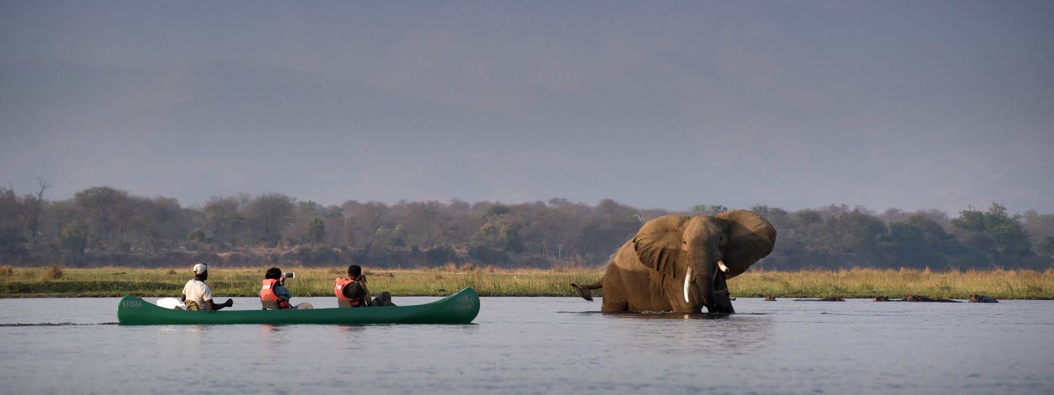 Canoeing on zambezi mana pools zimbabwe african bush camps