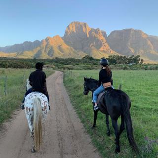 Horseriding Cape Winelands