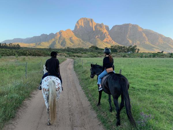 Horseriding Cape Winelands
