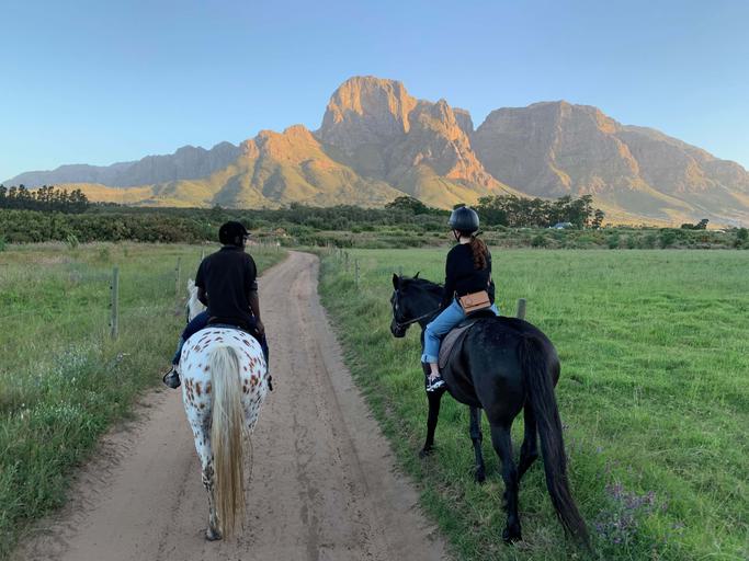 Horseriding Cape Winelands