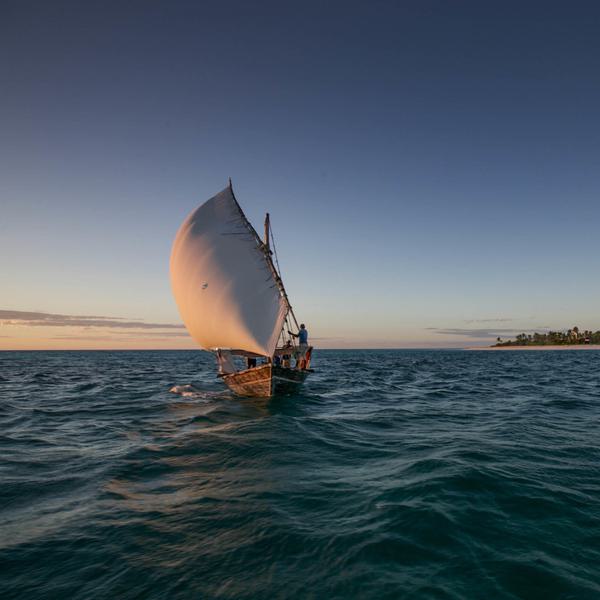 Dhow Cruise Fanjove Island SQUARE