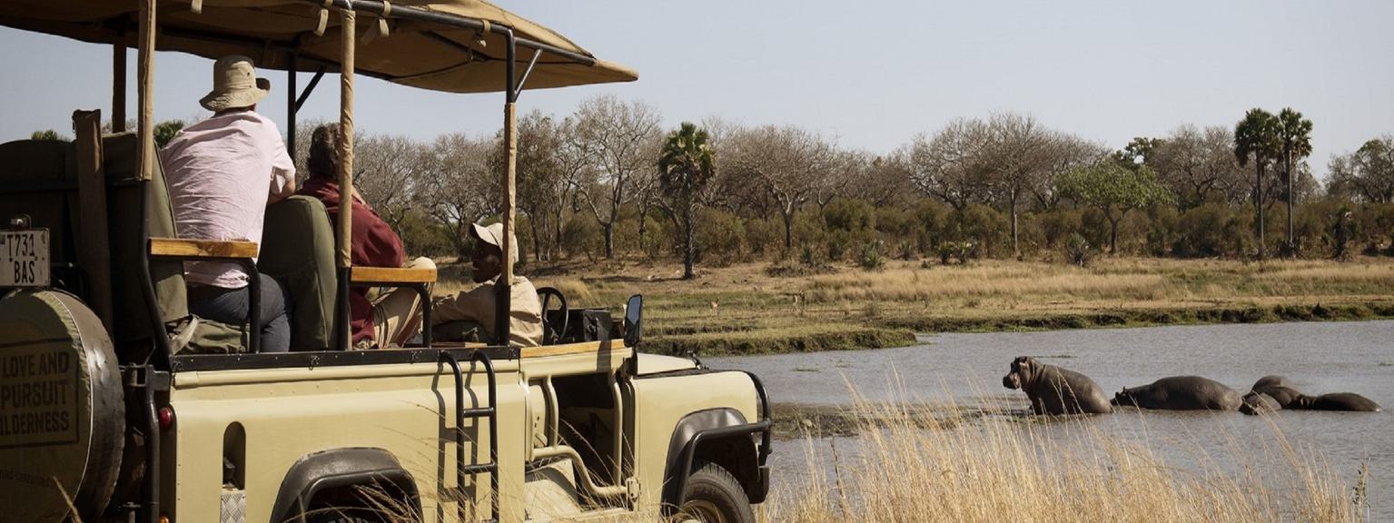 Chada Katavi Game Drive