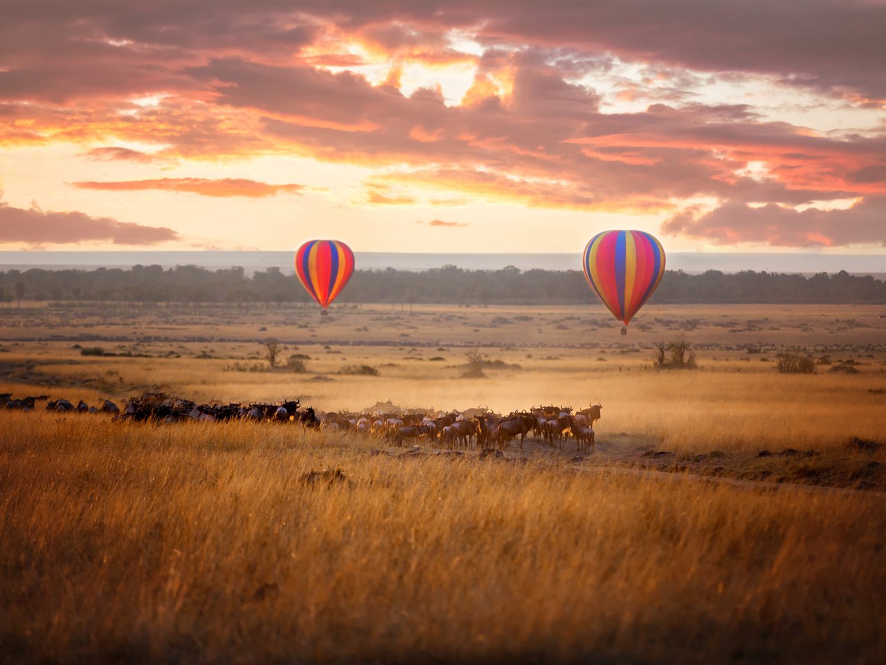 Copy of SS 695146399 Masai Mara Hot Air Balloons