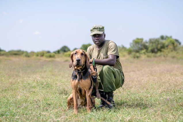 Ranger at Governors Mugie, Laikipia, Kenya
