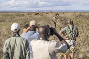 Governors Mugie Bush Walking