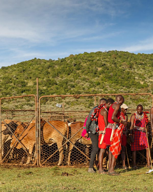 House in the Wild, Kenya