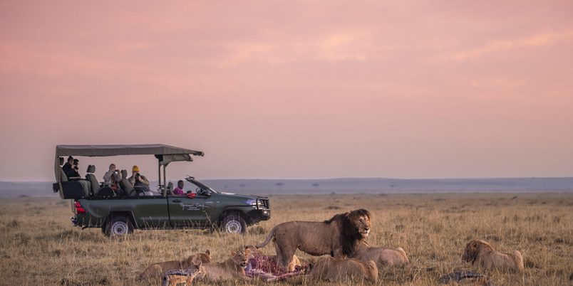 Lions and Jeep at Sunrise Governors Masai Mara 1