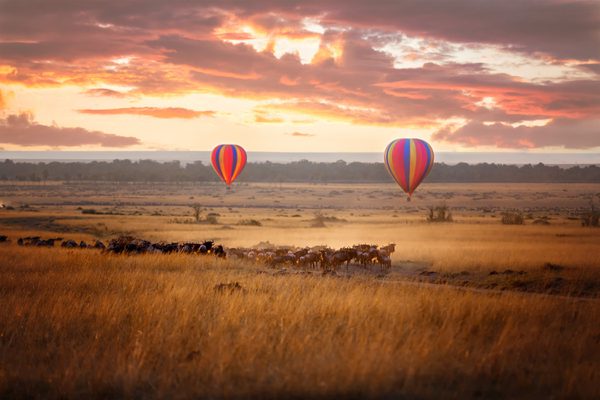 Masai Mara Hot Air Balloons and Wildebeest
