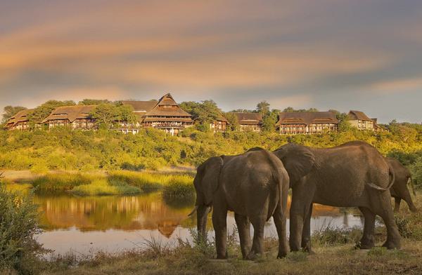 Victoria Falls Safari Lodge and Elephants